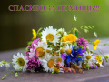 Спасибо за помощь!